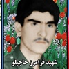 فرامرز حاجیلو.jpg